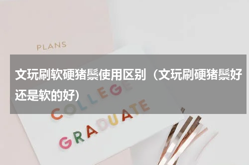 文玩刷软硬猪鬃使用区别（文玩刷硬猪鬃好还是软的好）