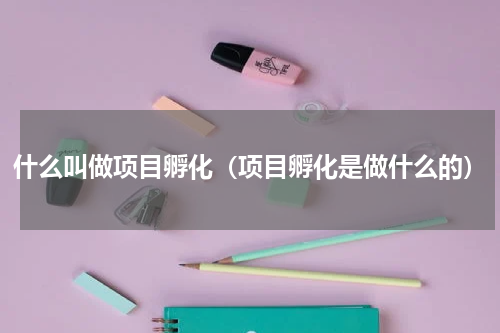 什么叫做项目孵化（项目孵化是做什么的）