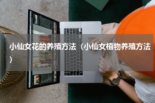 小仙女花的养殖方法（小仙女植物养殖方法）