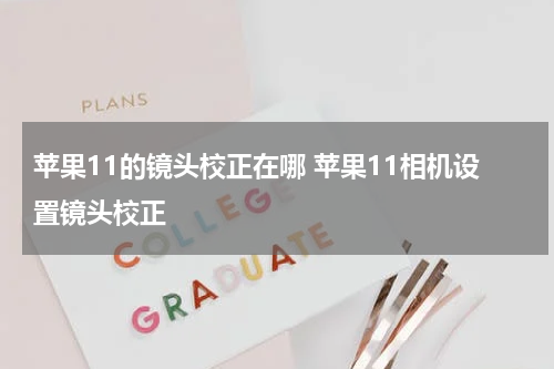 苹果11的镜头校正在哪 苹果11相机设置镜头校正