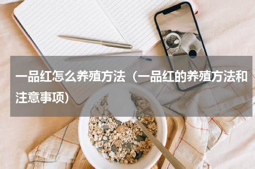 一品红怎么养殖方法（一品红的养殖方法和注意事项）