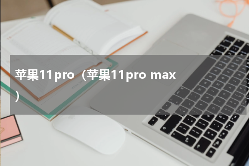 苹果11pro（苹果11pro max）