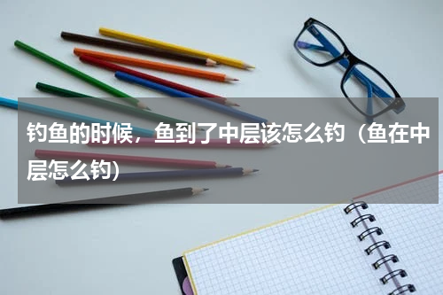 钓鱼的时候，鱼到了中层该怎么钓（鱼在中层怎么钓）