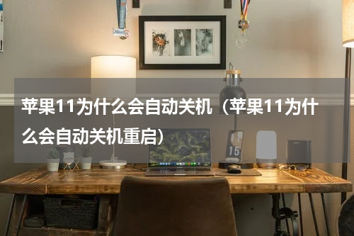 苹果11为什么会自动关机（苹果11为什么会自动关机重启）