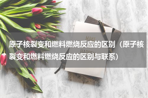原子核裂变和燃料燃烧反应的区别（原子核裂变和燃料燃烧反应的区别与联系）