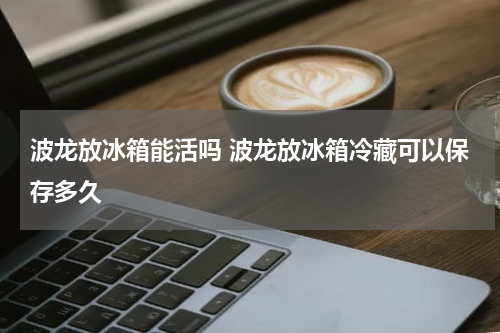 波龙放冰箱能活吗 波龙放冰箱冷藏可以保存多久