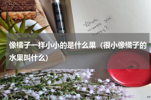 像橘子一样小小的是什么果（很小像橘子的水果叫什么）