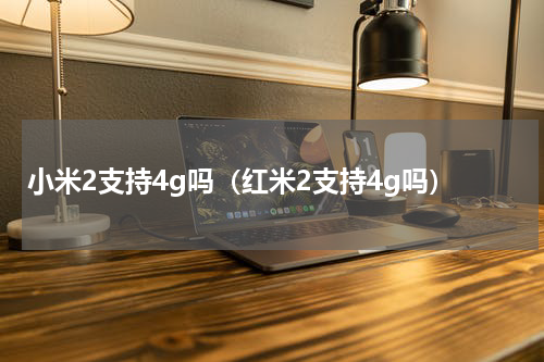 小米2支持4g吗（红米2支持4g吗）
