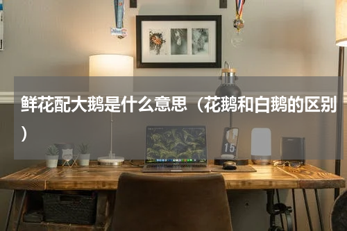 鲜花配大鹅是什么意思（花鹅和白鹅的区别）