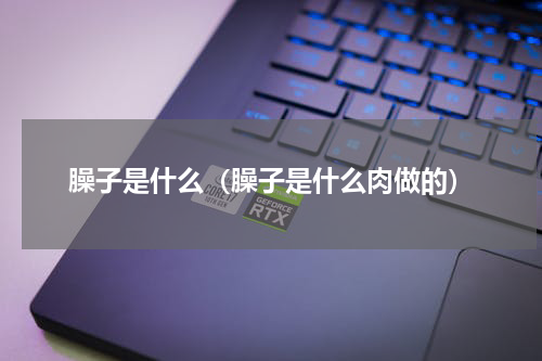臊子是什么（臊子是什么肉做的）