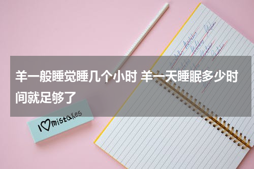 羊一般睡觉睡几个小时 羊一天睡眠多少时间就足够了
