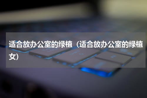 适合放办公室的绿植（适合放办公室的绿植女）