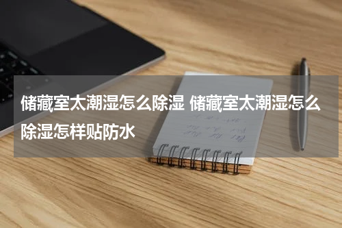 储藏室太潮湿怎么除湿 储藏室太潮湿怎么除湿怎样贴防水