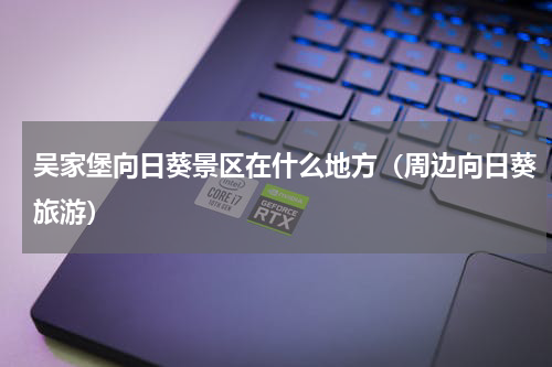 吴家堡向日葵景区在什么地方（周边向日葵旅游）