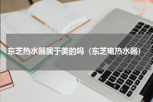 东芝热水器属于美的吗（东芝电热水器）