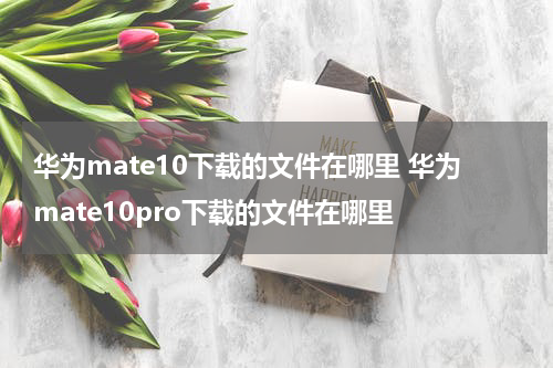 华为mate10下载的文件在哪里 华为mate10pro下载的文件在哪里