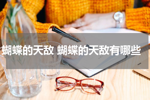 蝴蝶的天敌 蝴蝶的天敌有哪些