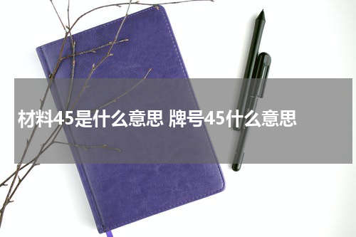 材料45是什么意思 牌号45什么意思