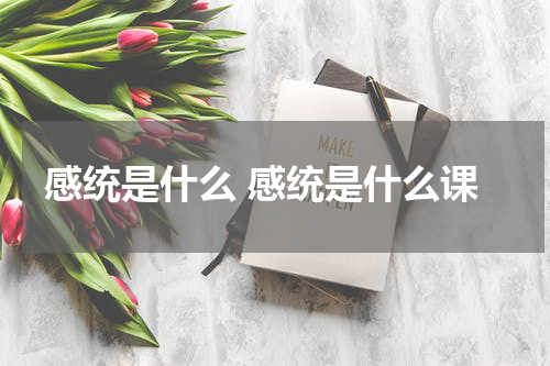 感统是什么 感统是什么课