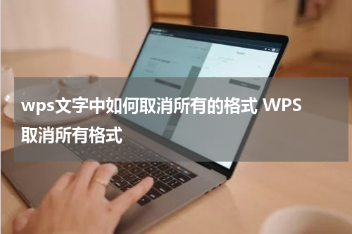 wps文字中如何取消所有的格式 WPS取消所有格式