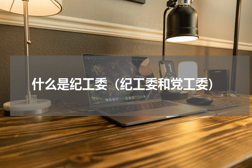 什么是纪工委（纪工委和党工委）