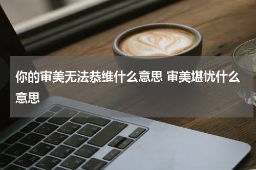 你的审美无法恭维什么意思 审美堪忧什么意思