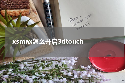 xsmax怎么开启3dtouch