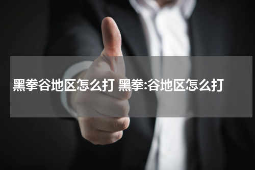 黑拳谷地区怎么打 黑拳:谷地区怎么打
