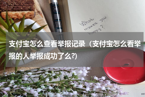 支付宝怎么查看举报记录（支付宝怎么看举报的人举报成功了么?）