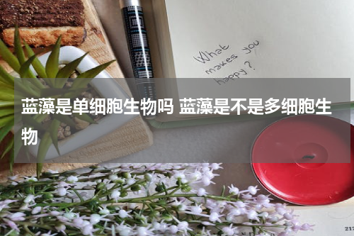 蓝藻是单细胞生物吗 蓝藻是不是多细胞生物