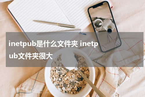 inetpub是什么文件夹 inetpub文件夹很大