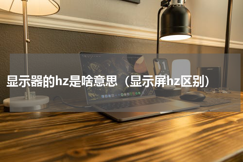 显示器的hz是啥意思（显示屏hz区别）