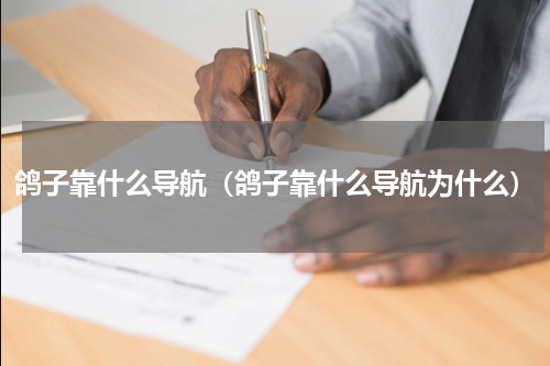鸽子靠什么导航（鸽子靠什么导航为什么）