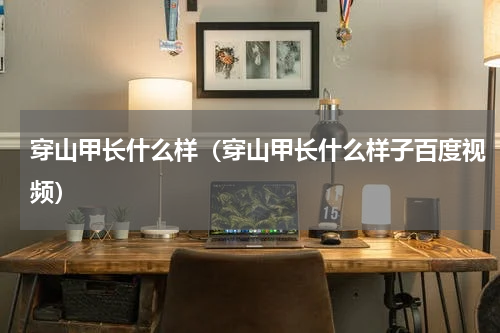 穿山甲长什么样（穿山甲长什么样子百度视频）
