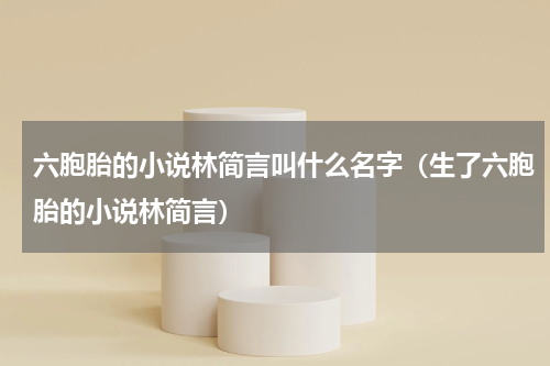六胞胎的小说林简言叫什么名字（生了六胞胎的小说林简言）