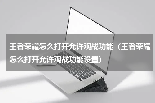 王者荣耀怎么打开允许观战功能（王者荣耀怎么打开允许观战功能设置）