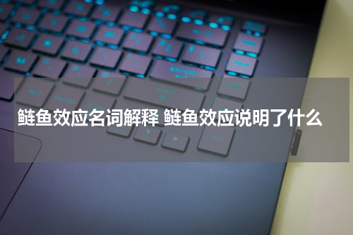 鲢鱼效应名词解释 鲢鱼效应说明了什么