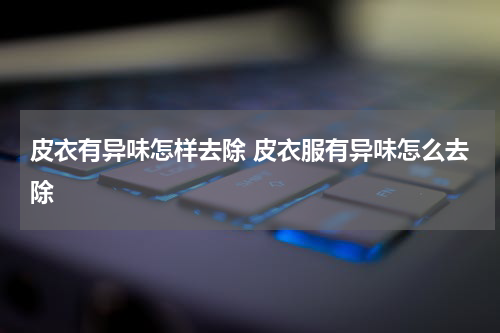 皮衣有异味怎样去除 皮衣服有异味怎么去除