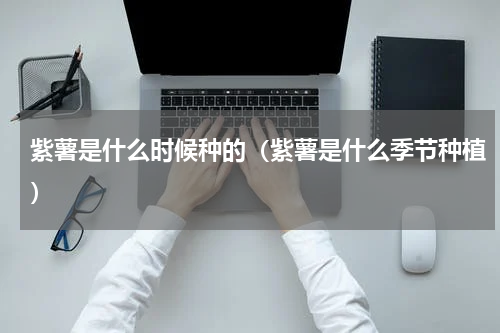 紫薯是什么时候种的（紫薯是什么季节种植）