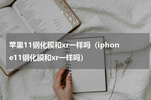 苹果11钢化膜和xr一样吗（iphone11钢化膜和xr一样吗）