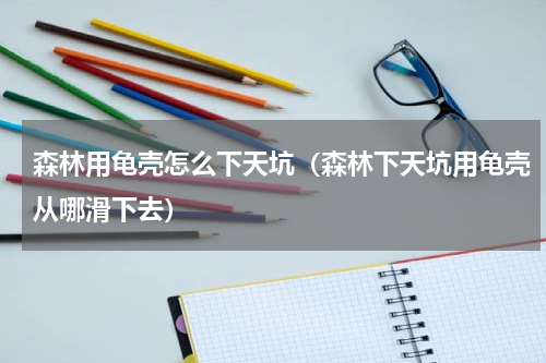 森林用龟壳怎么下天坑（森林下天坑用龟壳从哪滑下去）