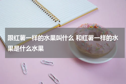 跟红薯一样的水果叫什么 和红薯一样的水果是什么水果