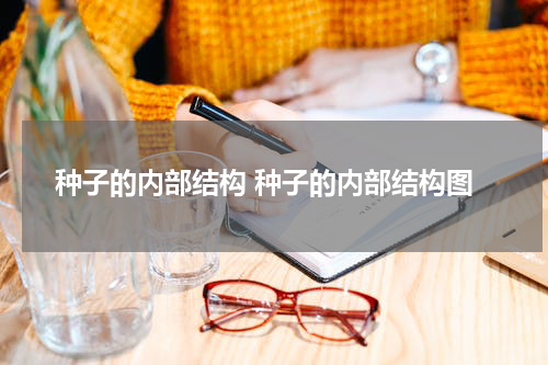 种子的内部结构 种子的内部结构图