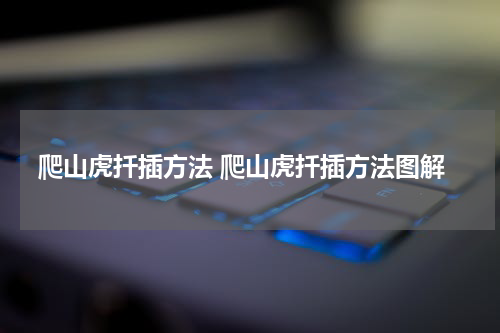 爬山虎扦插方法 爬山虎扦插方法图解
