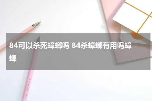 84可以杀死蟑螂吗 84杀蟑螂有用吗蟑螂