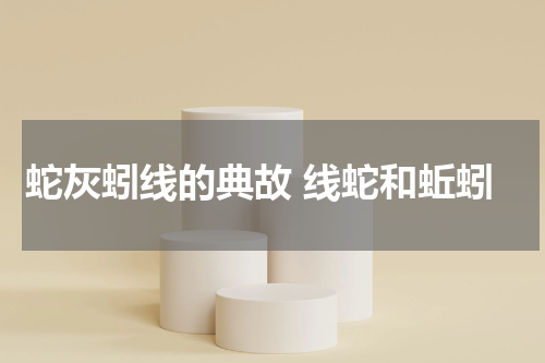 蛇灰蚓线的典故 线蛇和蚯蚓
