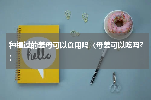 种植过的姜母可以食用吗（母姜可以吃吗?）