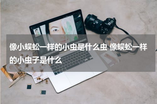 像小蜈蚣一样的小虫是什么虫 像蜈蚣一样的小虫子是什么