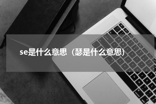 se是什么意思（瑟是什么意思）