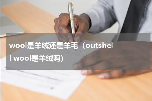wool是羊绒还是羊毛（outshell wool是羊绒吗）